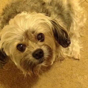 Meet your Posher, Sue